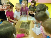 Přírodovědný program - Plazi a žáby